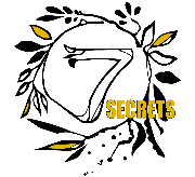 7 Secrets Organic Oil